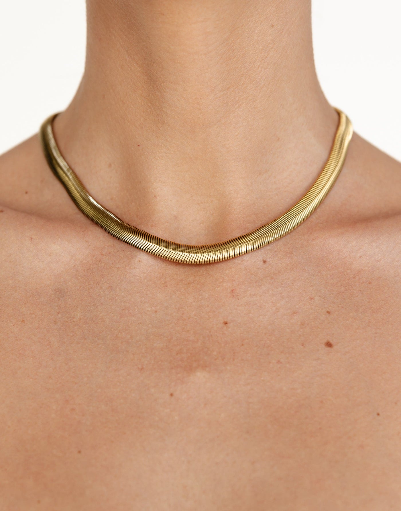 Dara Necklace (Gold) | Charcoal Clothing Exclusive - Flat Snake Chain Necklace - Women's Accessories - Charcoal Clothing